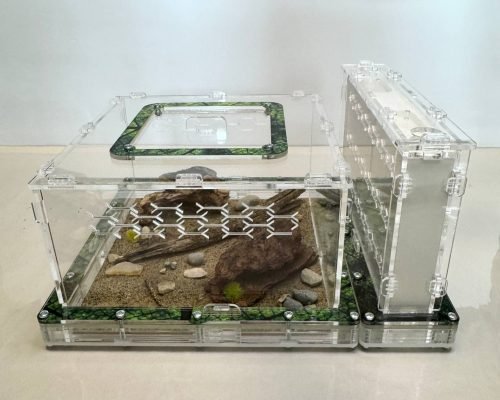 Modular Ant Farm 5XV Gypsum kit - Image 3