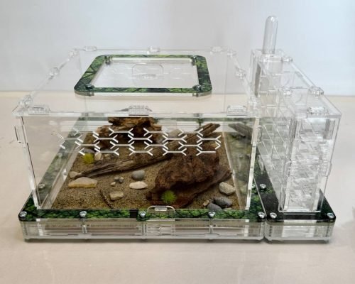 Modular Ant Farm 5XV kit - Image 3