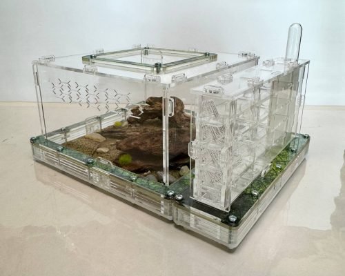 Modular Ant Farm 5XV kit - Image 6
