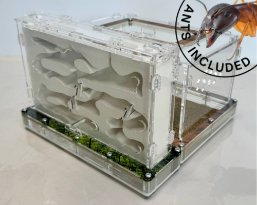 Modular Ant Farm 4XV Gypsum kit