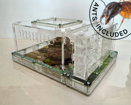 Modular Ant Farm 5XV kit