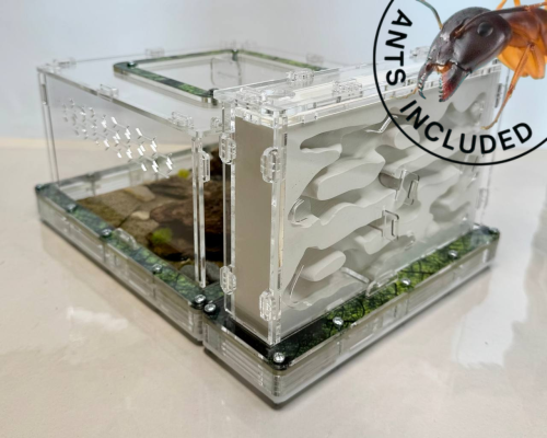 Modular Ant Farm 5XV Gypsum kit