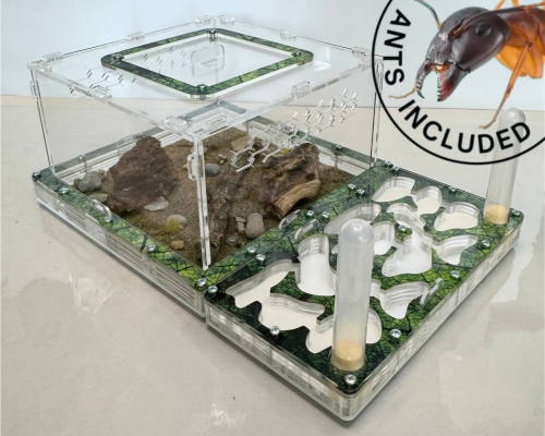 Modular Ant Farm 5XL kit