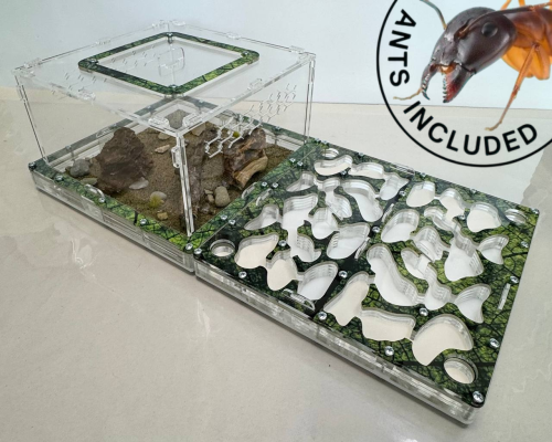Modular Ant Farm 5XL Max kit