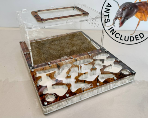 Modular Ant Farm 4XL kit