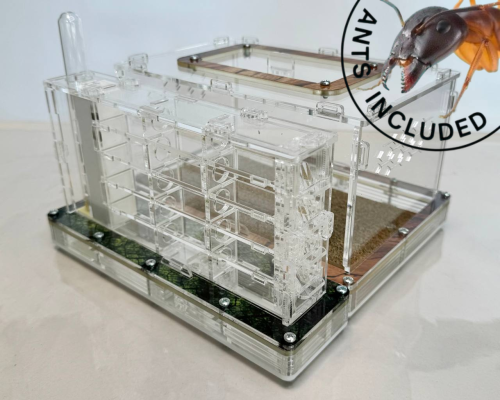 Modular Ant Farm 4XV kit
