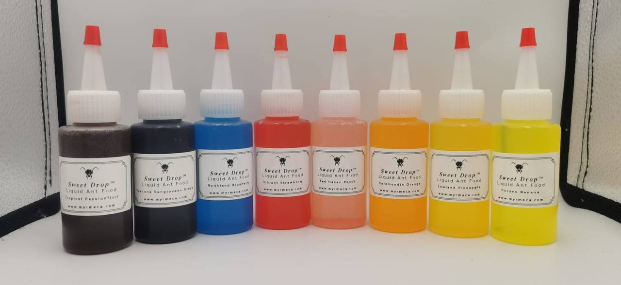 Ant Nectar (Sweet Drop) 4oz/120mil - Image 4