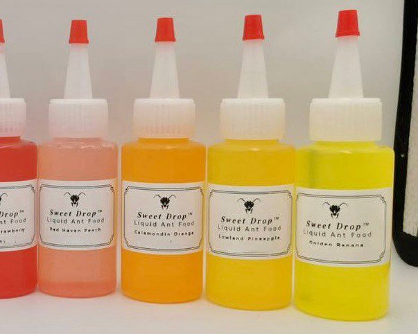 Ant Nectar (Sweet Drop) 4oz/120mil - Image 3
