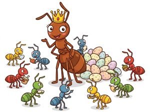 Simple Ant Colony (1 queen, 5-10 workers, eggs)