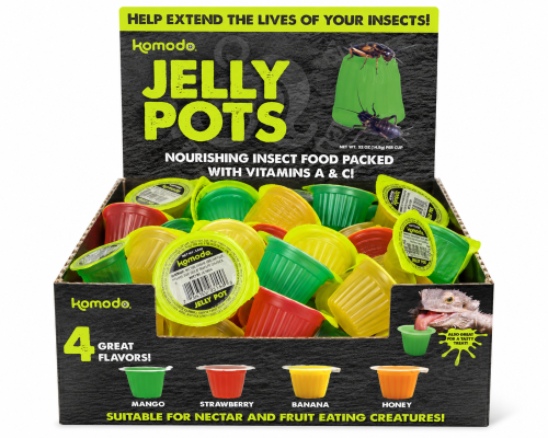 1 Ant Protein Jelly Pots (Mixed) 16g