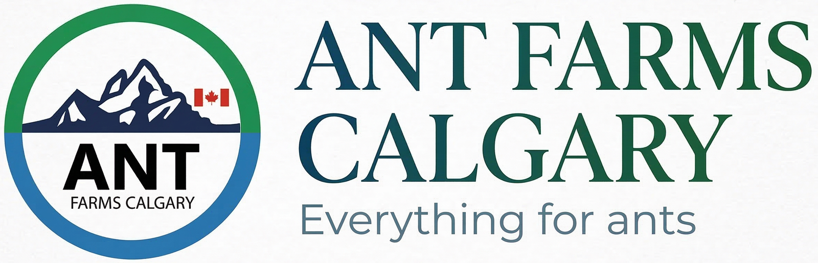 Ant Farms Calgary
