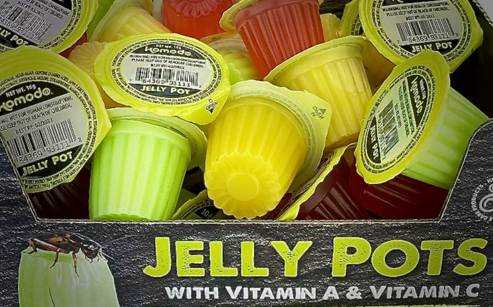 1 Ant Protein Jelly Pots (Mixed) 16g - Image 2