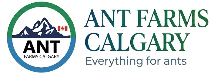 Ant Farms Calgary