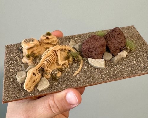 Dino Decoration