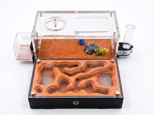 Terra L Ant Farm kit