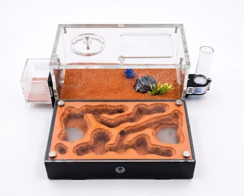 Terra L Ant Farm kit