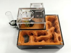 Terra XL Ant Farm kit