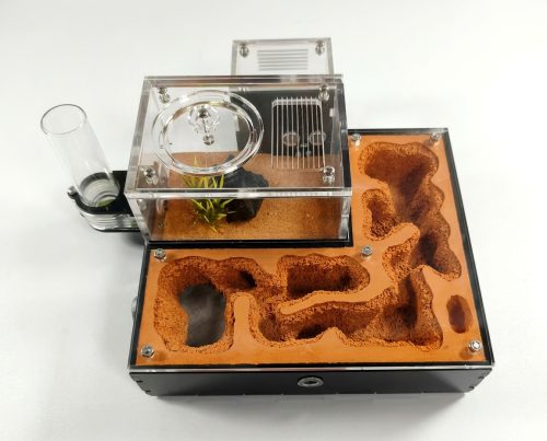Terra XL Ant Farm kit