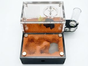 Terra S Ant Farm kit