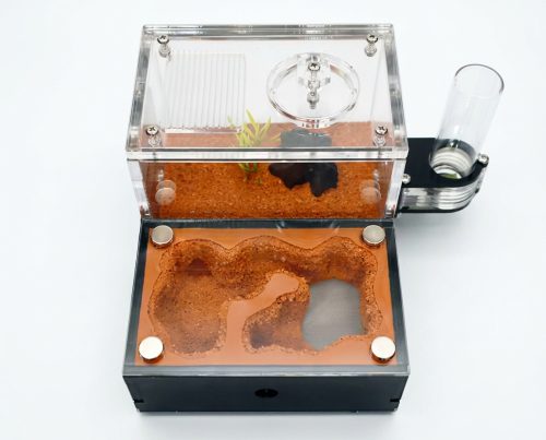 Terra S Ant Farm kit