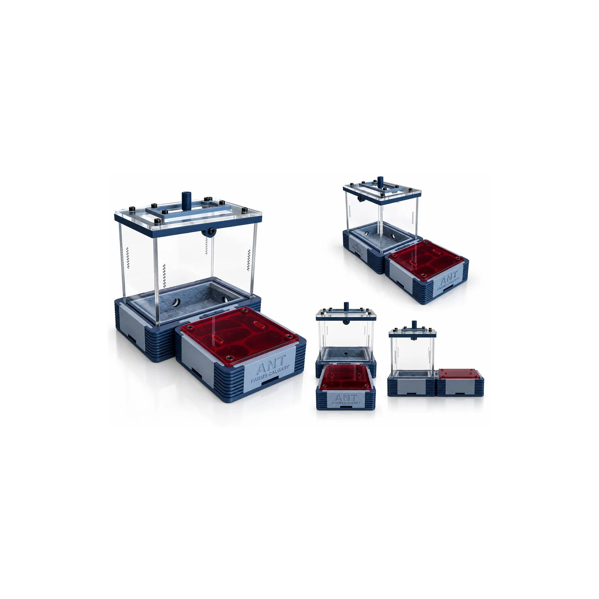 Modular Ant Farm Arctic Blue Small kit - Image 5