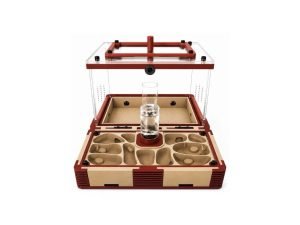 Modular Ant Farm Crimson Red Large kit