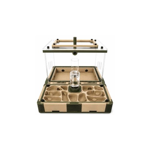 Modular Ant Farm Forest Large kit