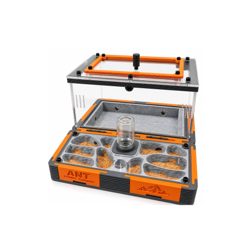 Modular Ant Farm Volcano Large kit - ant farm kit