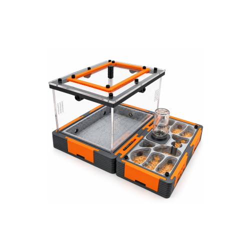Ant farm kit 2