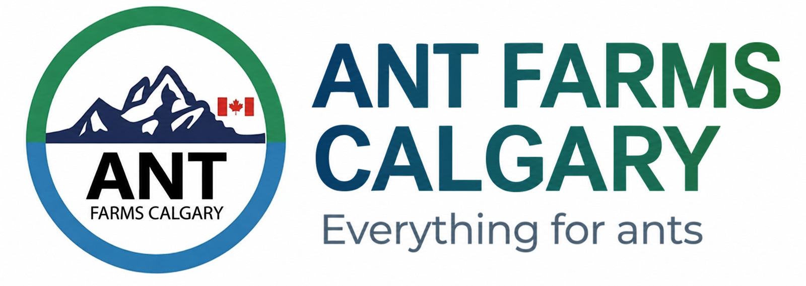 Ant Farms Calgary