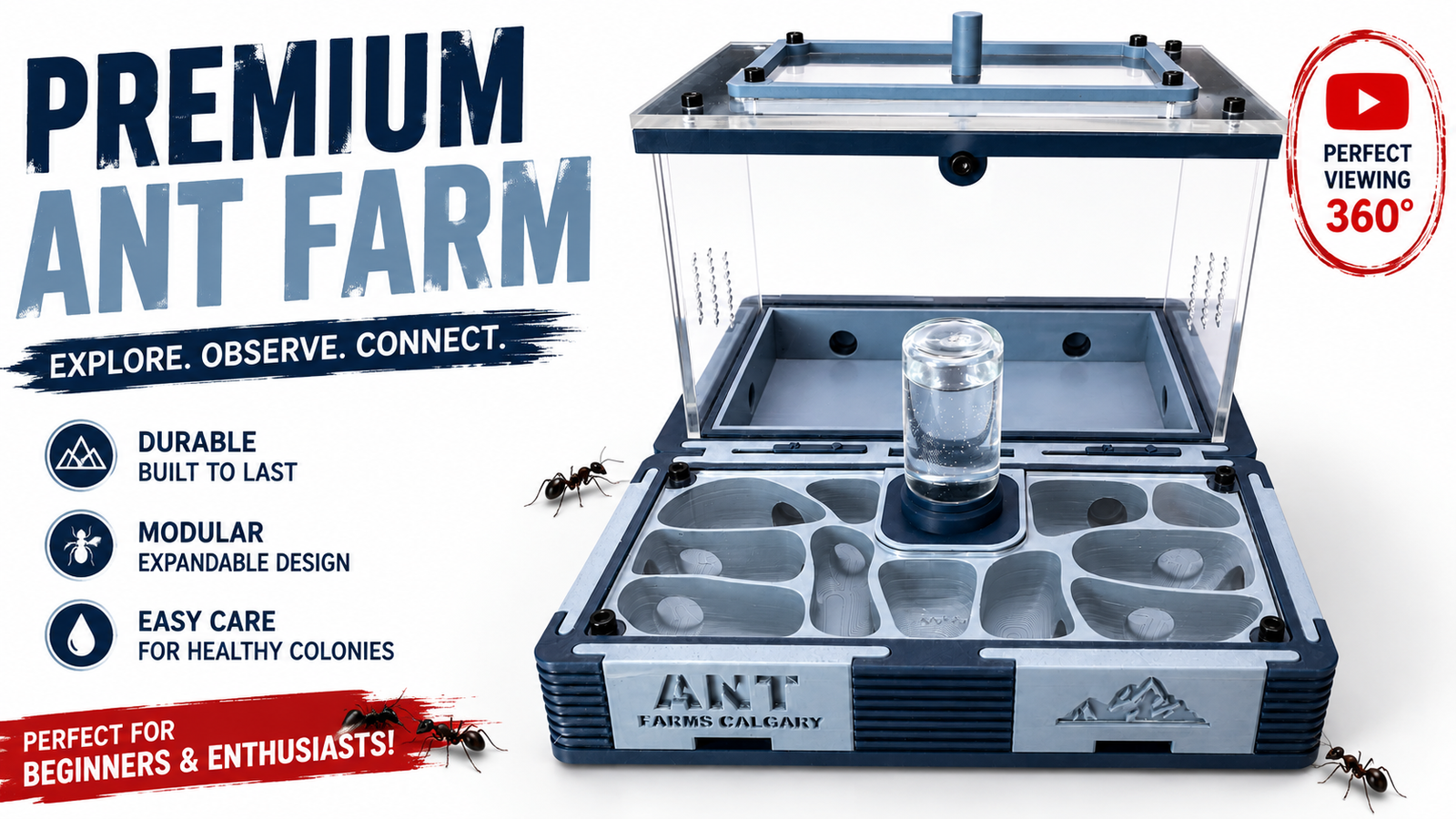 Modular Ant Farm Arctic Large kit - Image 12