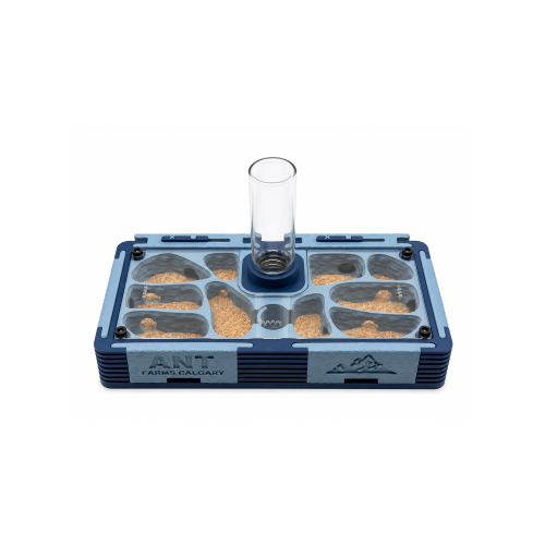 Living area module (16x8cm)